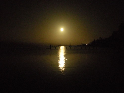 Moonlight on the Bay
