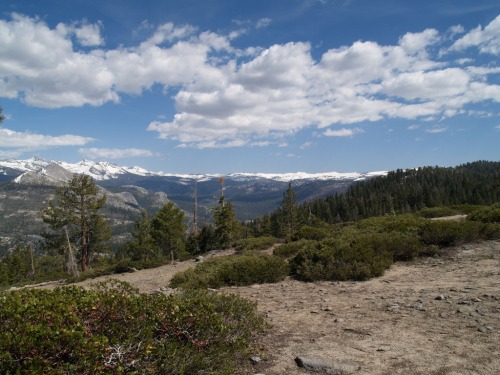 Sierra Nevadas from the Trail