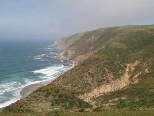 The Trek to Tomales Point
